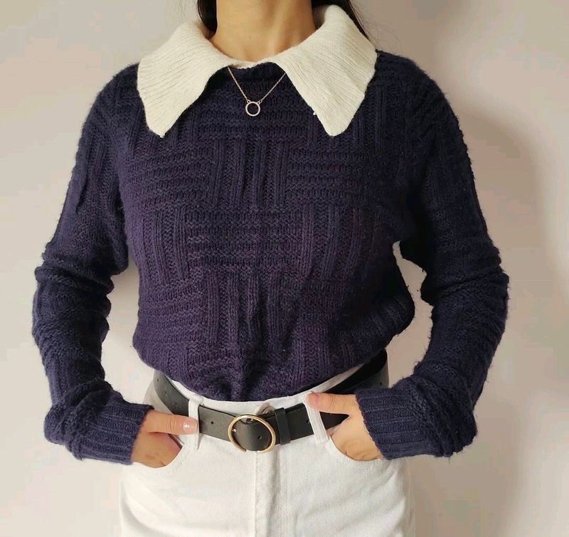 Cute Collared Sweater