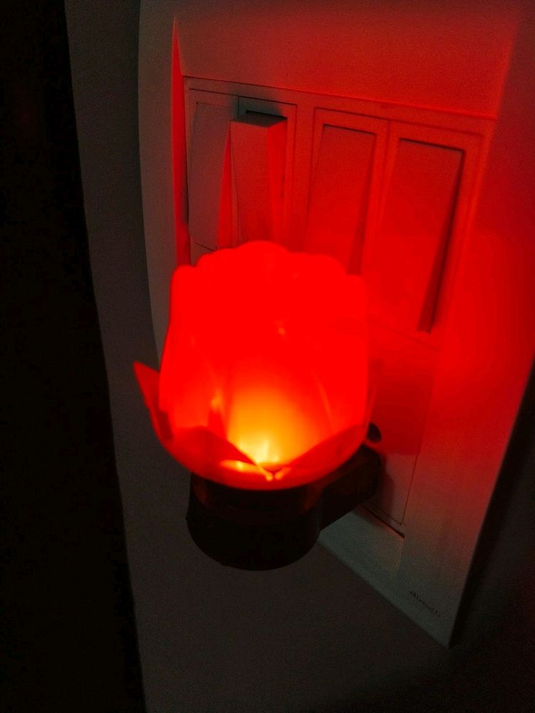 Red Rose Lamp