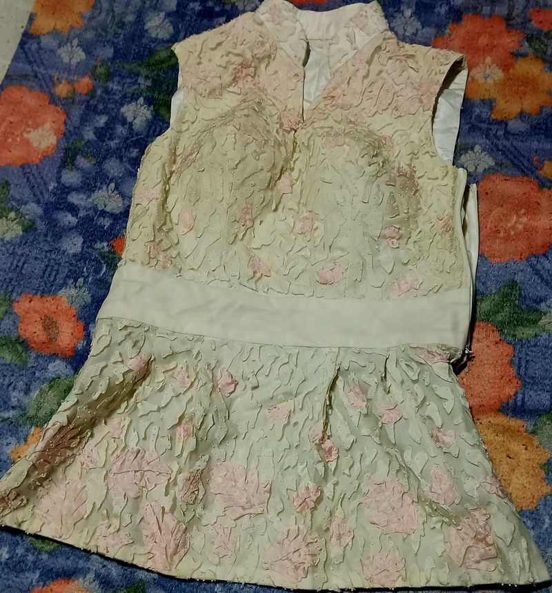 Cream Colour Net With Flowers Design Top