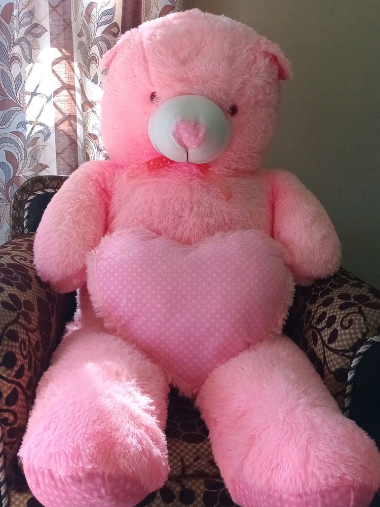 5 Feet Teddy 🧸 😍