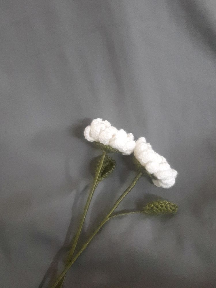 Crochet Large Daisy Flowers