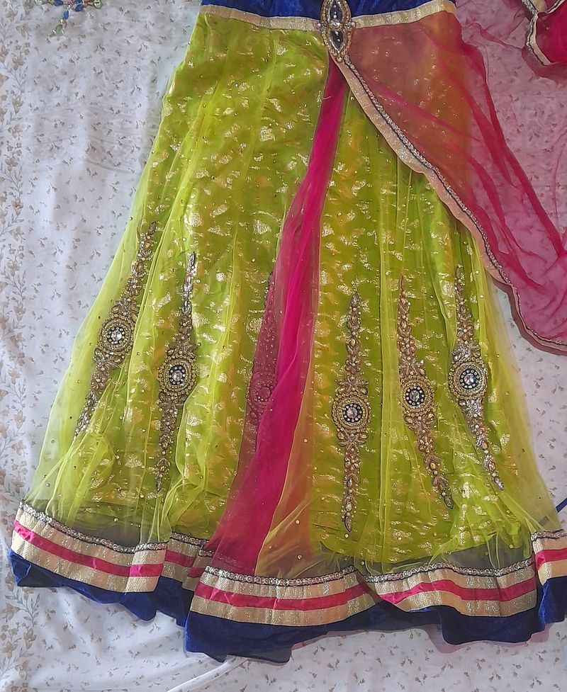 Parrot Green Lehnga Choli