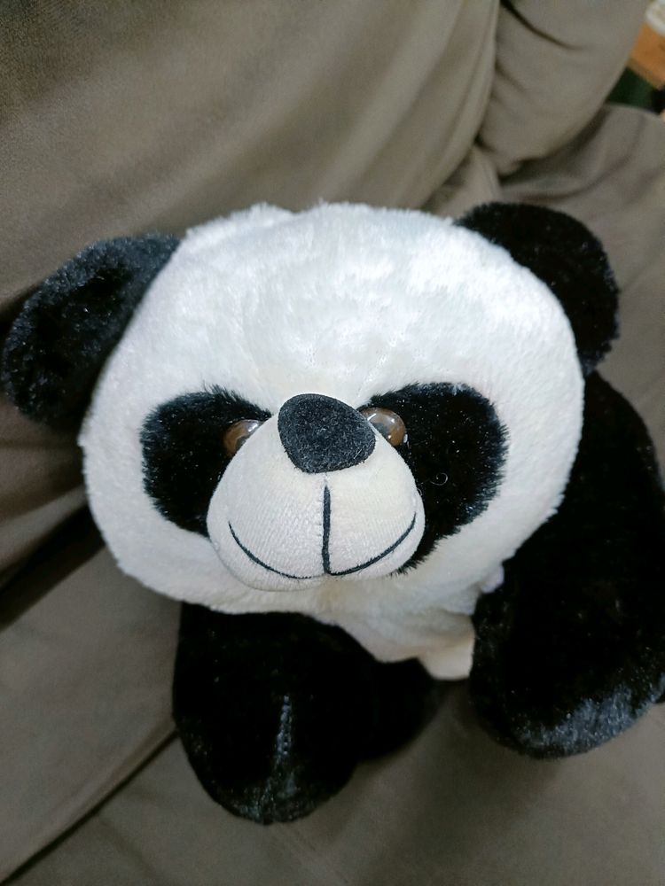 Cute Panda Softy