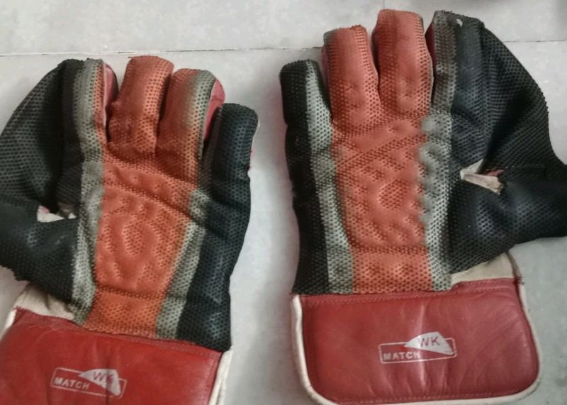 SS Brand Wicket Keeper Gloves