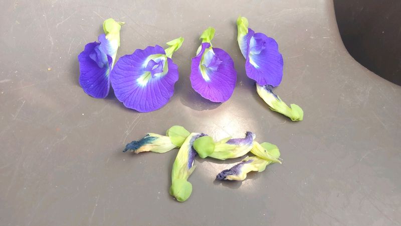 Aprajita Dry Flowers