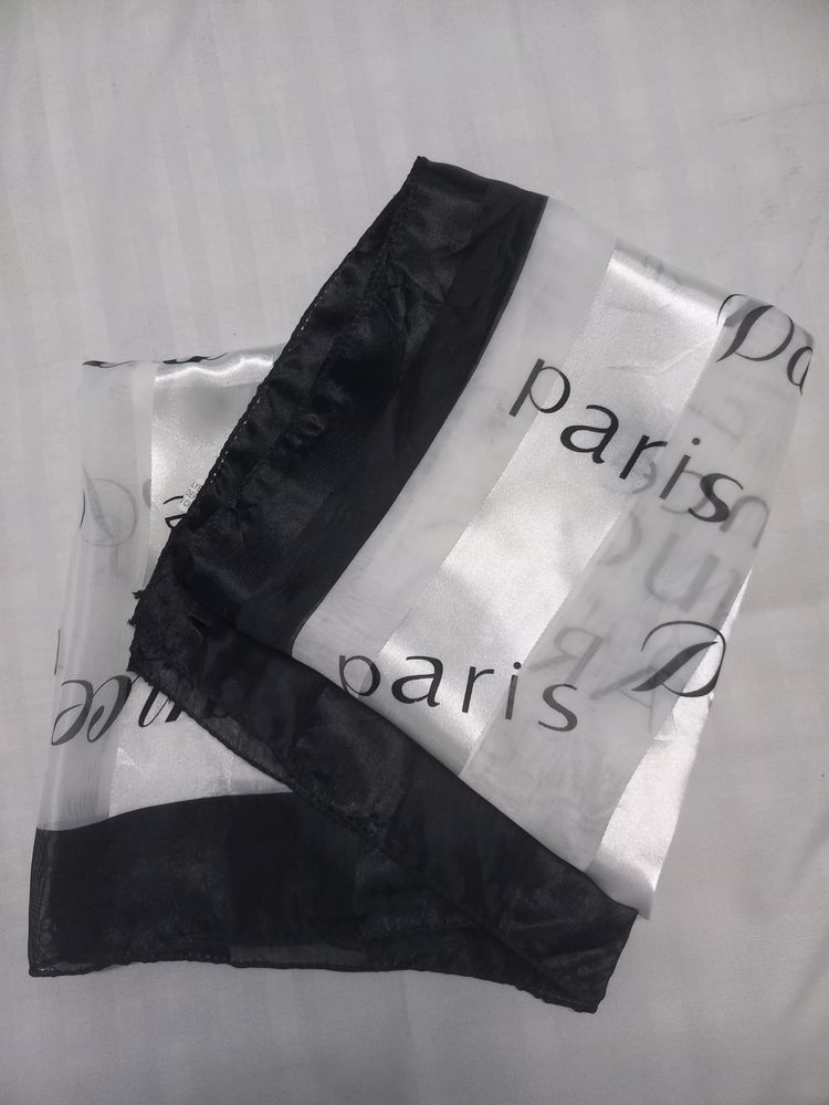 Paris France Scarf