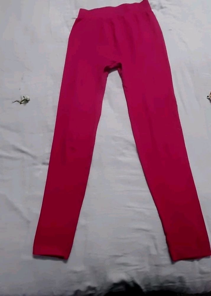 Gym Fit Trouser