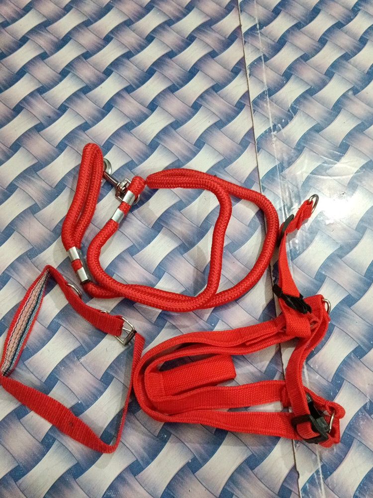 Dog leash And Collar Set For Harness