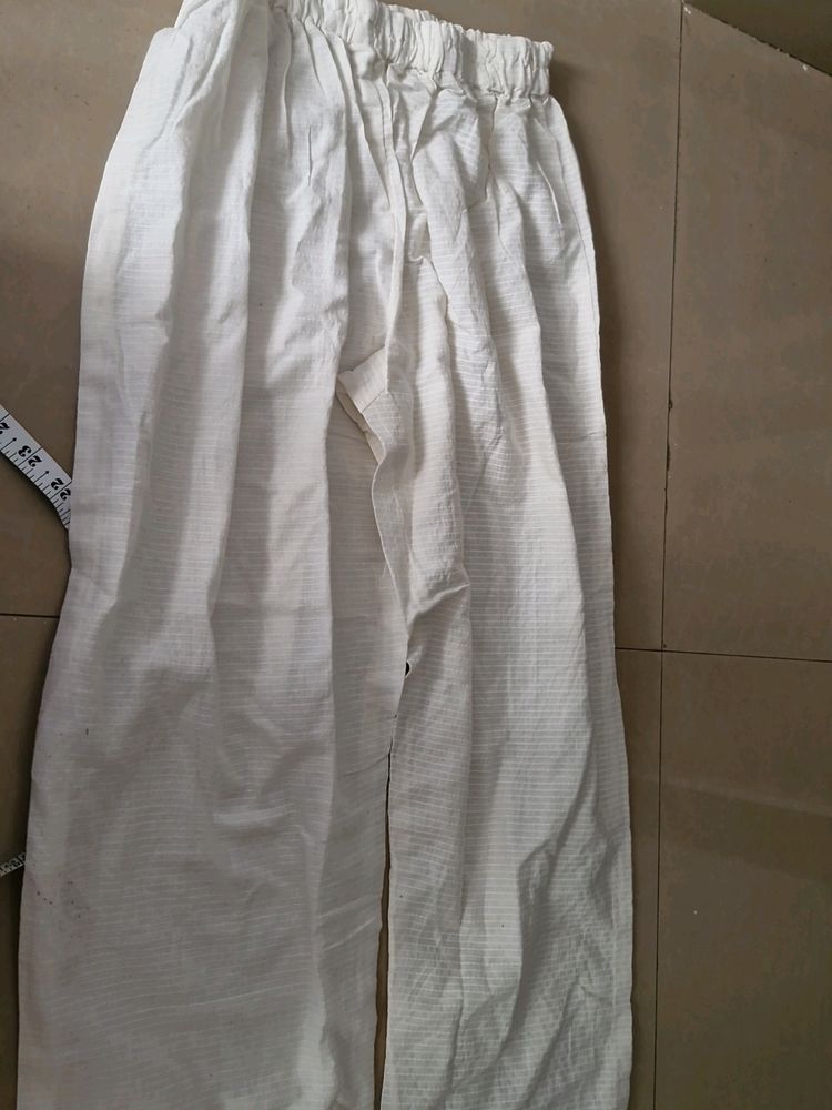 60*60 Cotton Pant