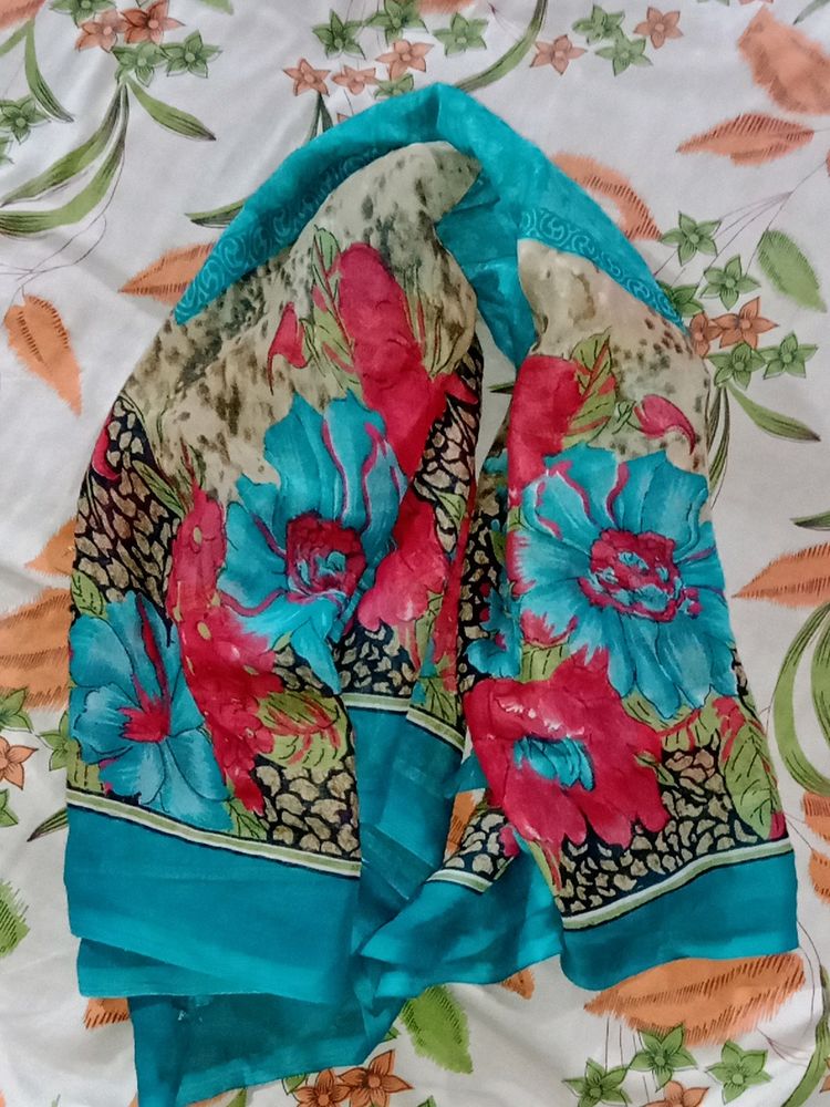 Multicolor Dupatta