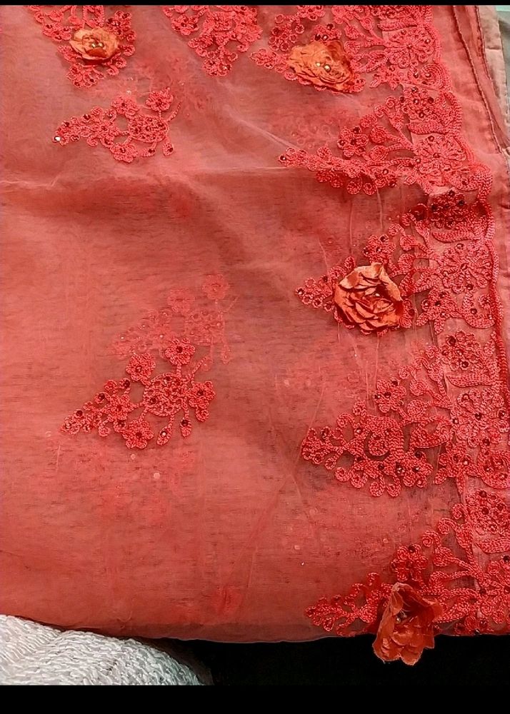 Net Saree Embroidery Work