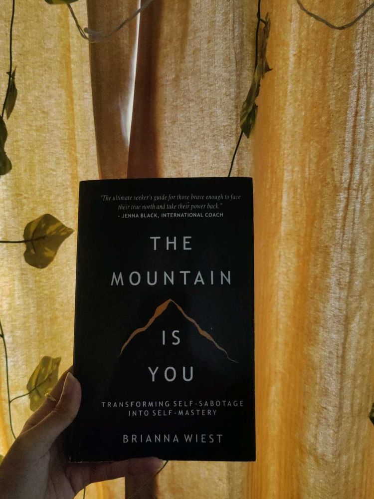 The Mountain Is You By Brianna Wiest