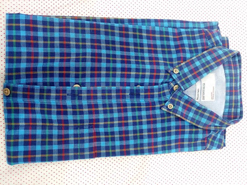 Peter England Blue Check Shirt