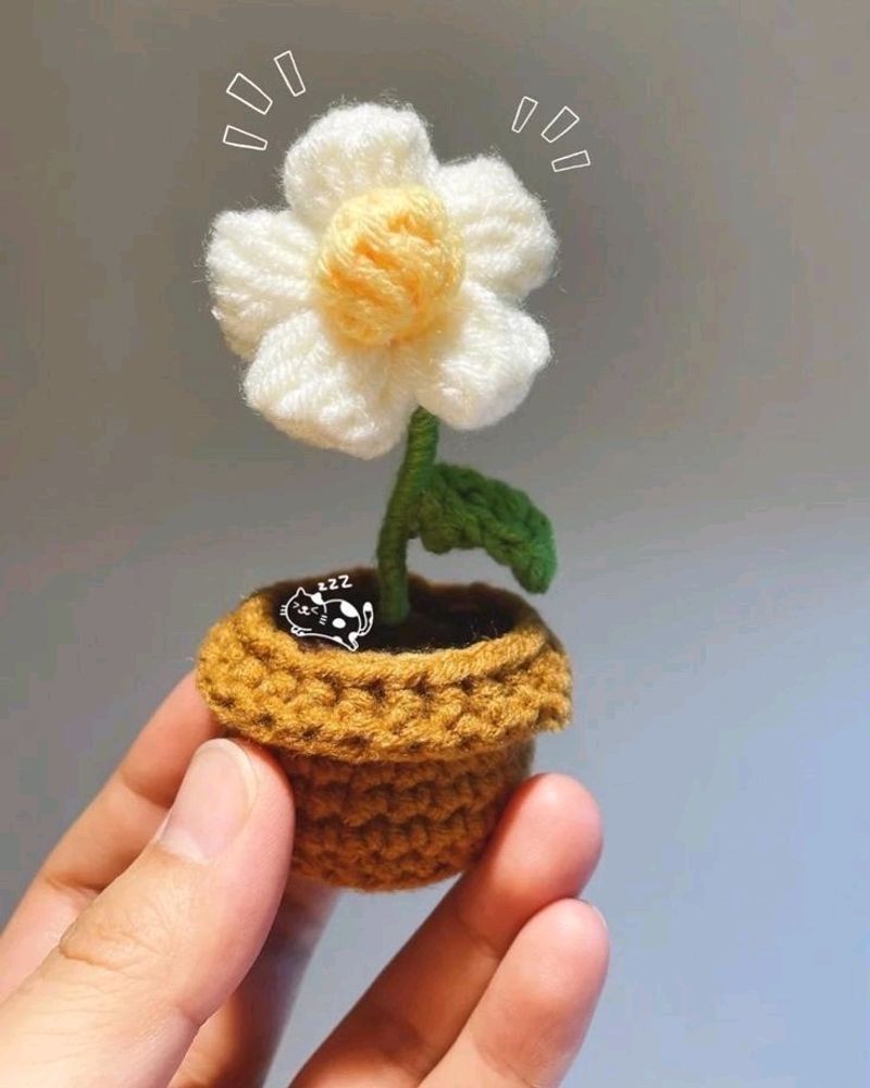 Crochet Flower Pot