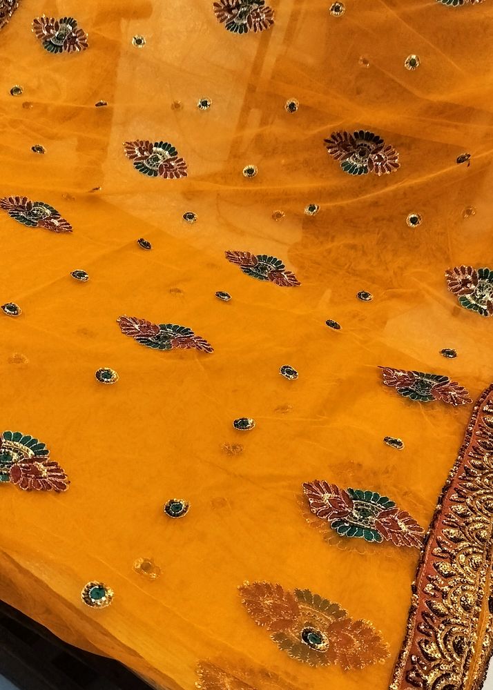 Brown Net Saree