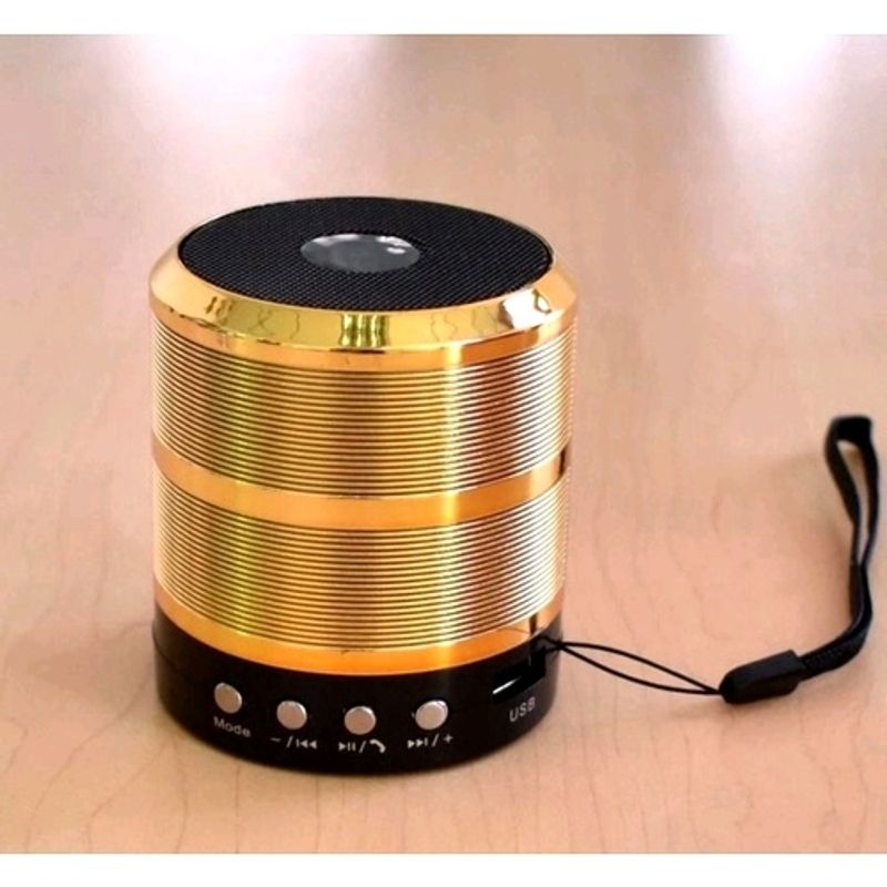 Mini Bluetooth Speaker WS 887(Bluetooth Speake)