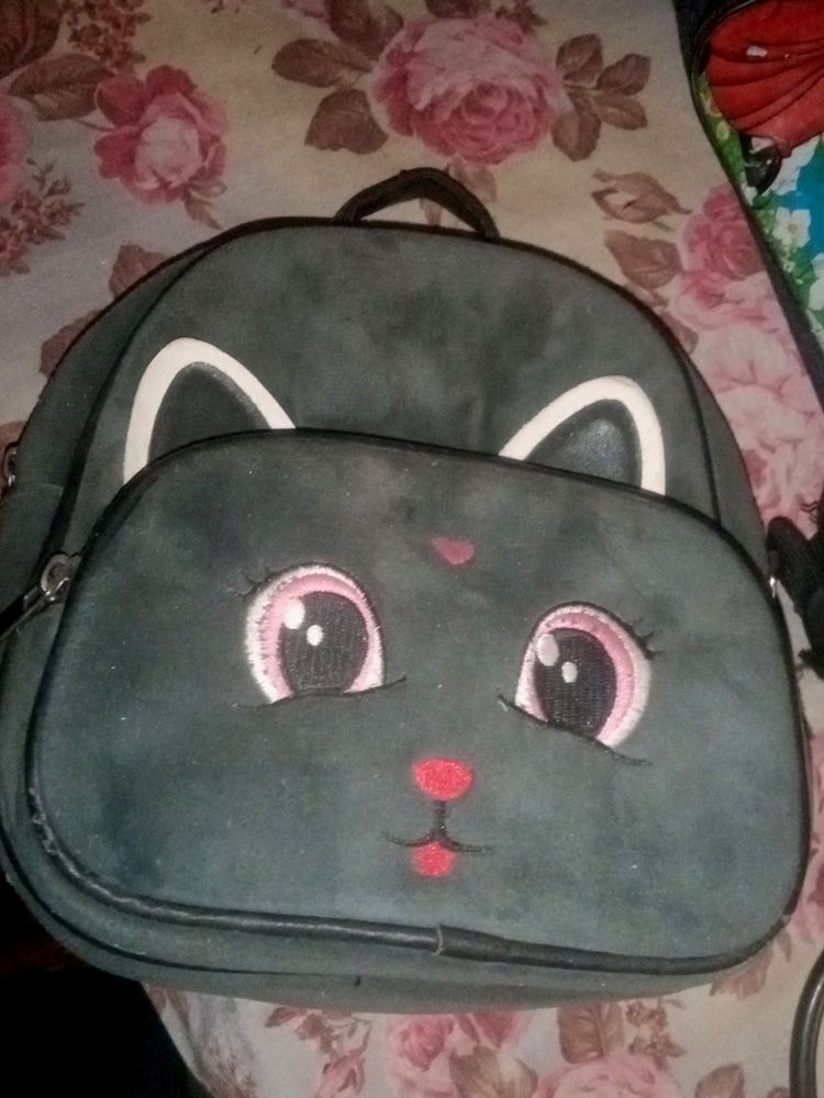 Kitty Bag Gray Colour