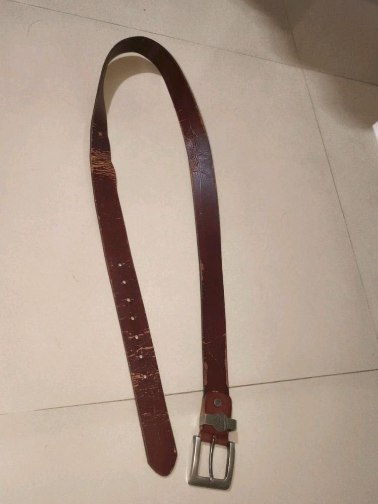 Timberland Belt