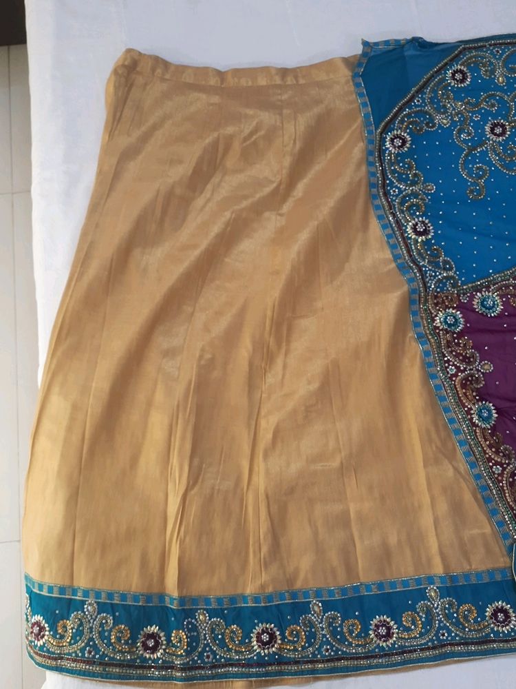 Lehenga Saree