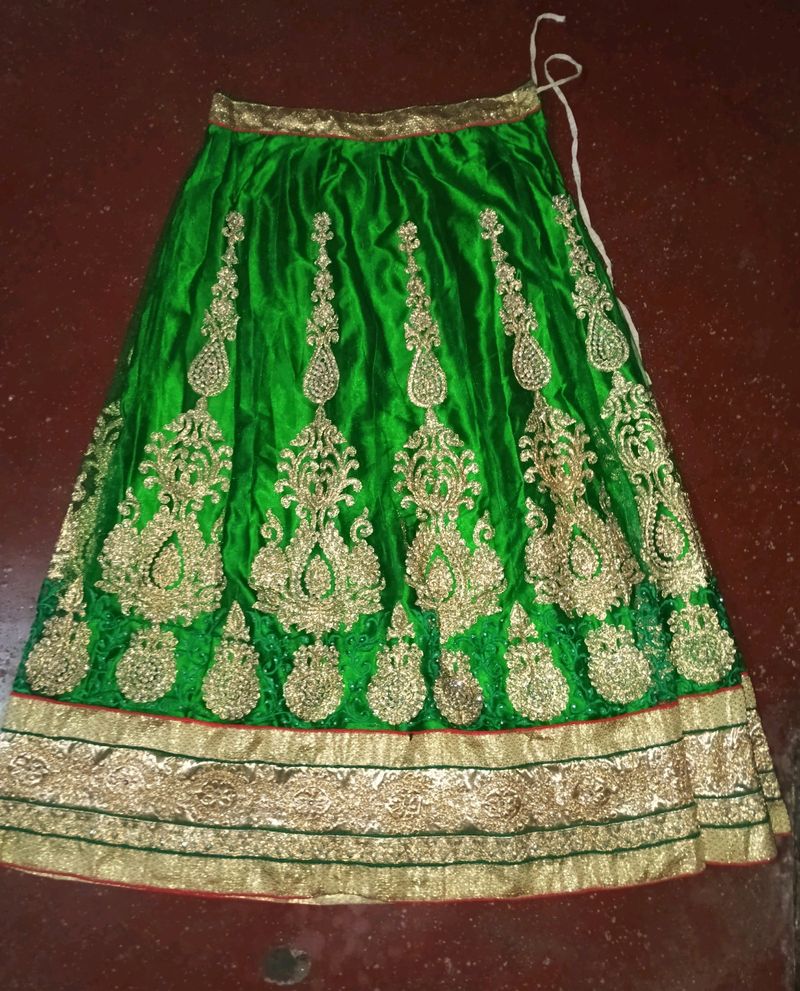 Lehenga Skirt and shaul