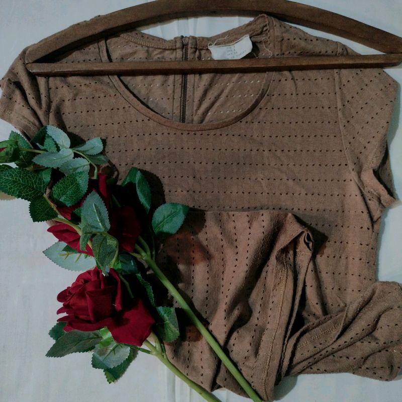 Orginal Zara Basics Brown Top