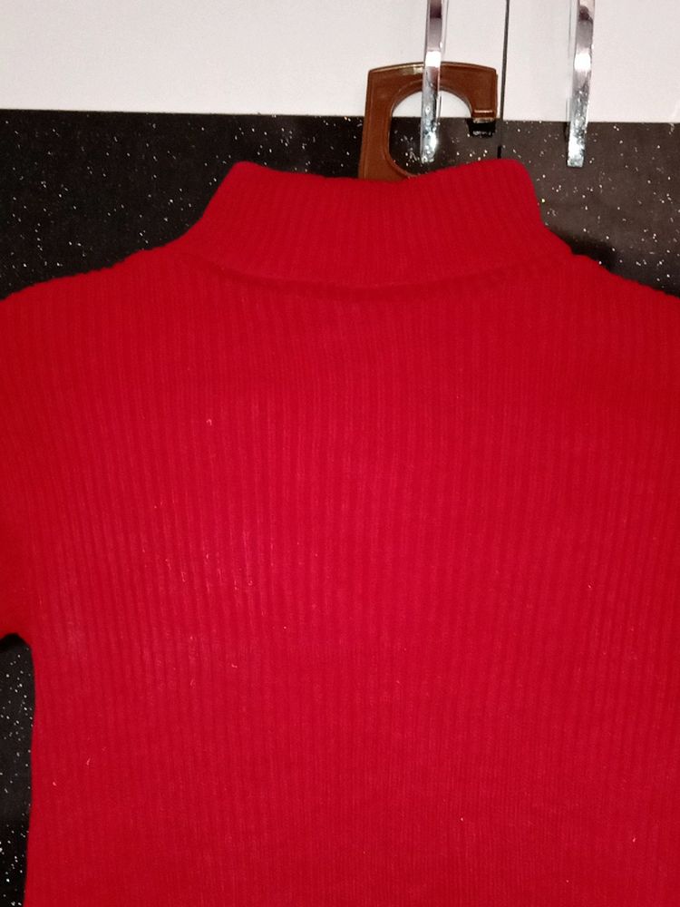 Winter Woolen Turtle Neck Top