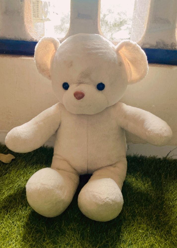 Taddy Bear Soft Toy