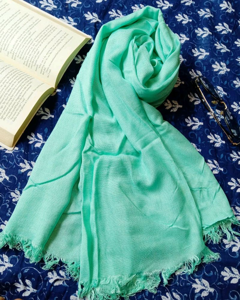 Light Green Solid Color Scarf