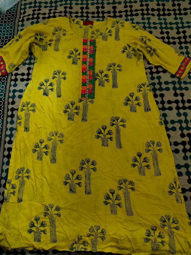 Rajisthani Print Straight Beautiful Kurti