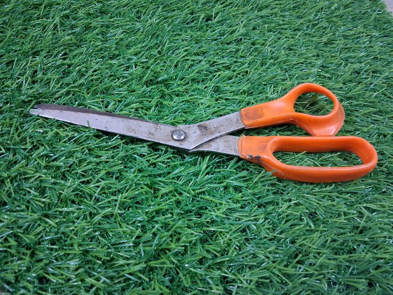 Scissor for Cutting And Tailoring