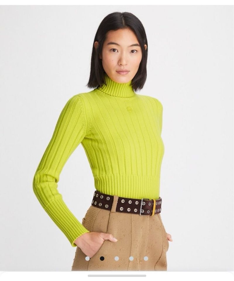 Imported Ribbed Knit Turtle Neck Sweater