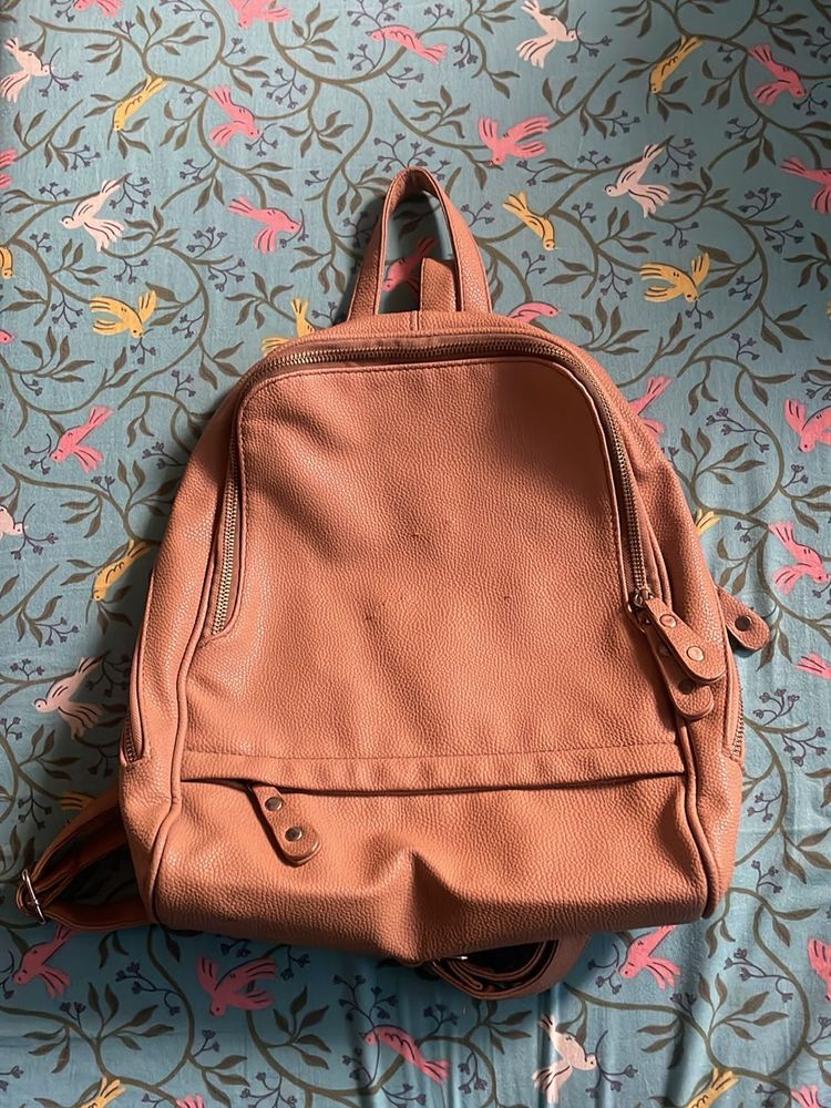 Dressberry Medium Sized Tan Backpack