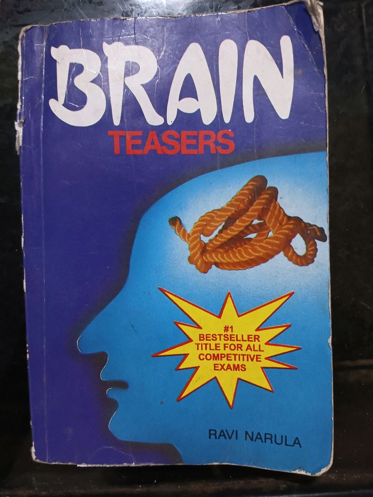 Brain Teasers Book