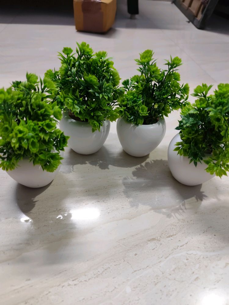 Pack Of 4 Artificial Plants