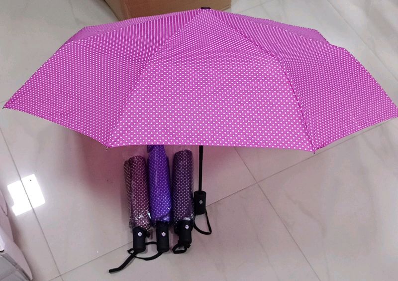 Umbrella