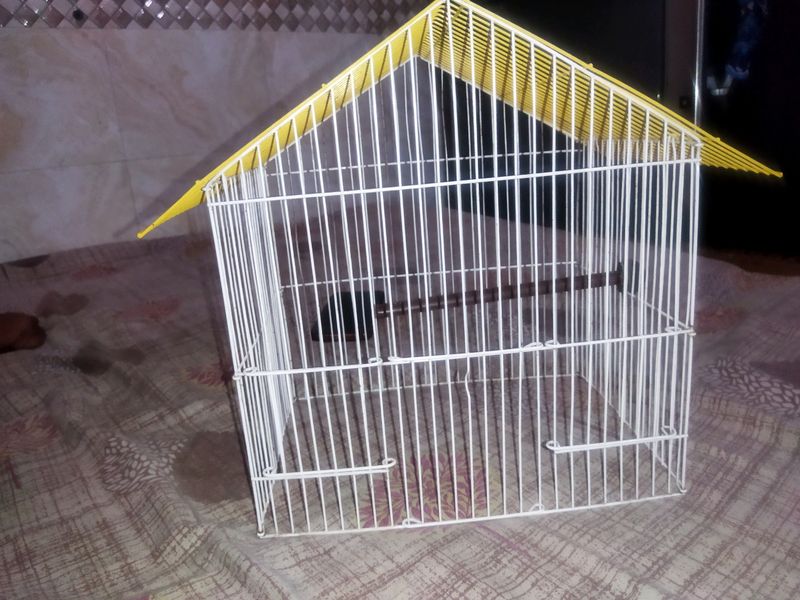 Bird Cage