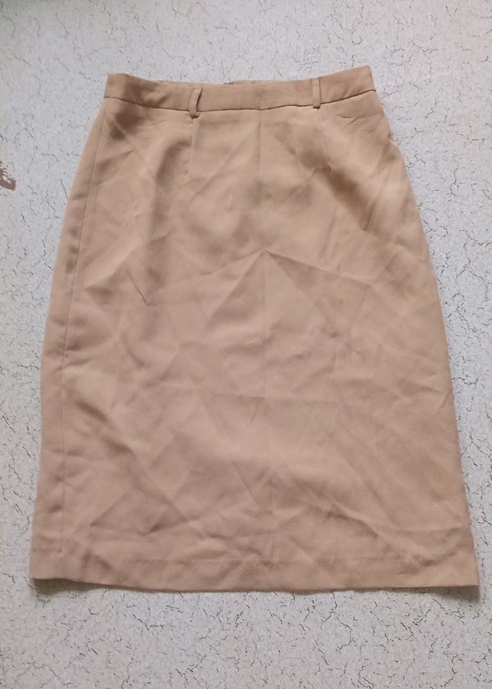 Brown High Waist Skirt