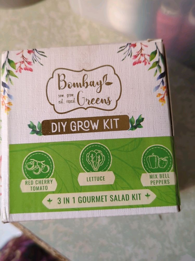 Salad Grow Kit