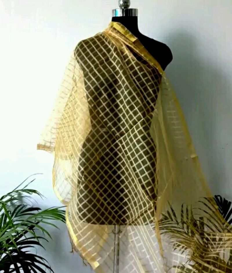 CheckeredChanderi🎀GoldenDupatta