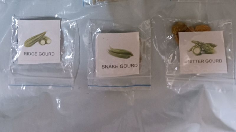 Combo Of 3 Plant Seeds #set4