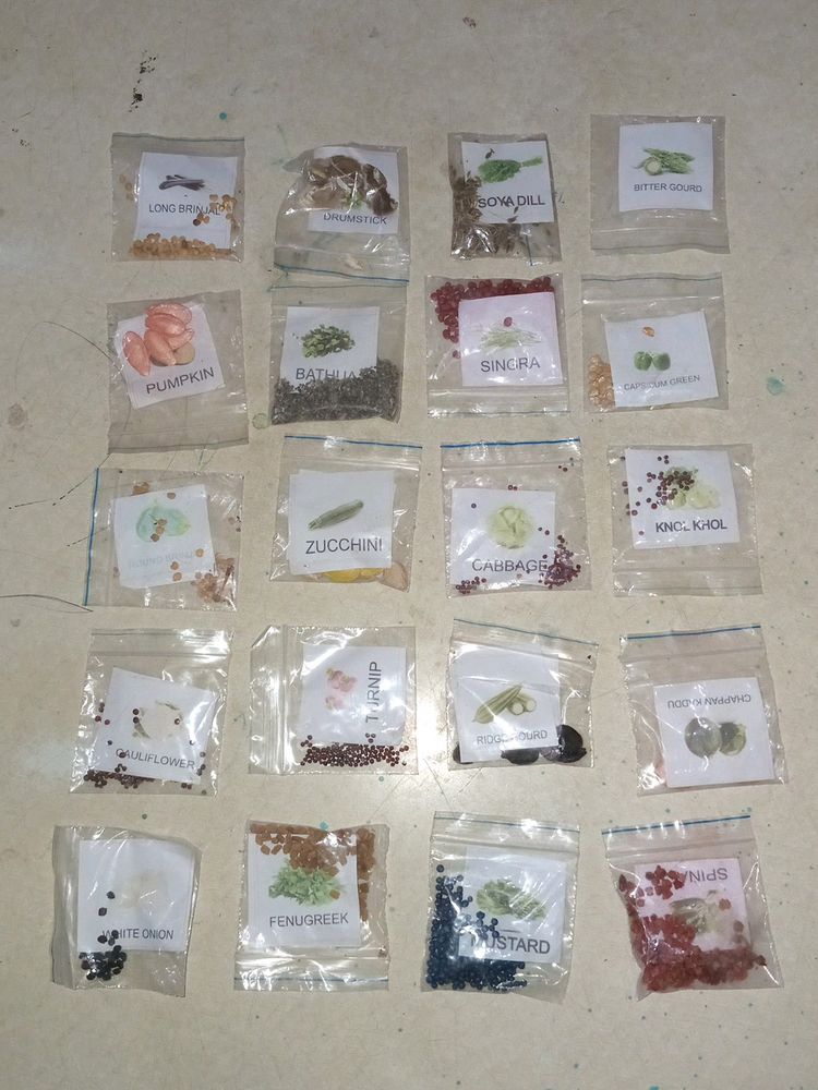 20 Variety Vegetable and Fruit Seeds Combo