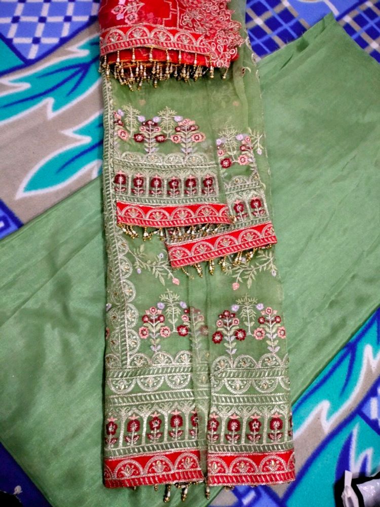 Full Work Sharara Brand New Wedding Wear 🚫No Coin