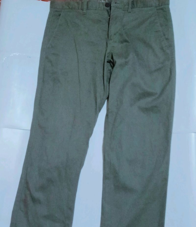 NETPLAY Olive Coloured Stylish Pant