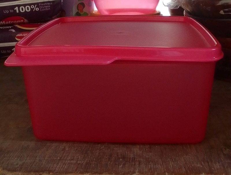 Tupperware Keep Tap Tiffin