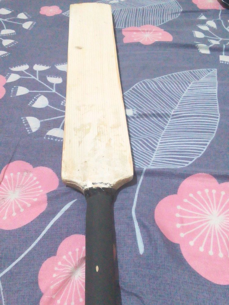 Cricket Bat