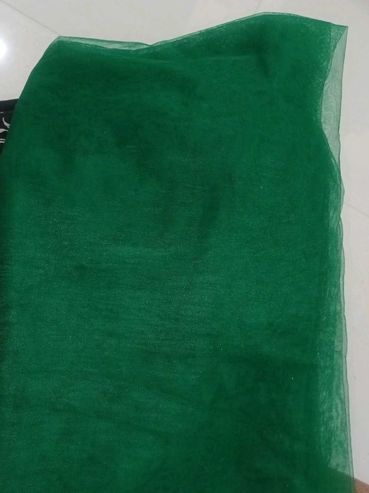 Net Green Dupatta With Silver Border