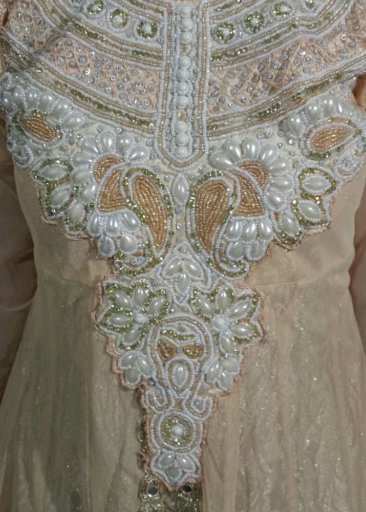 Bajirao Mastani Festive And Wedding Function Gown