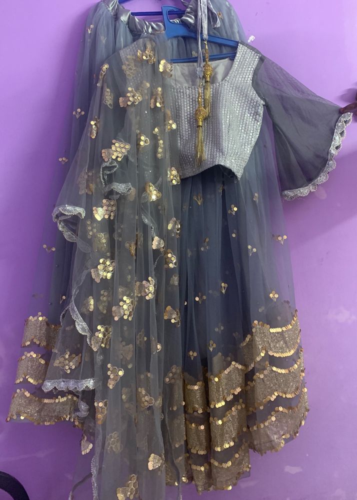 Self Stiched Grey Party Lehnga Choli With Dupatta