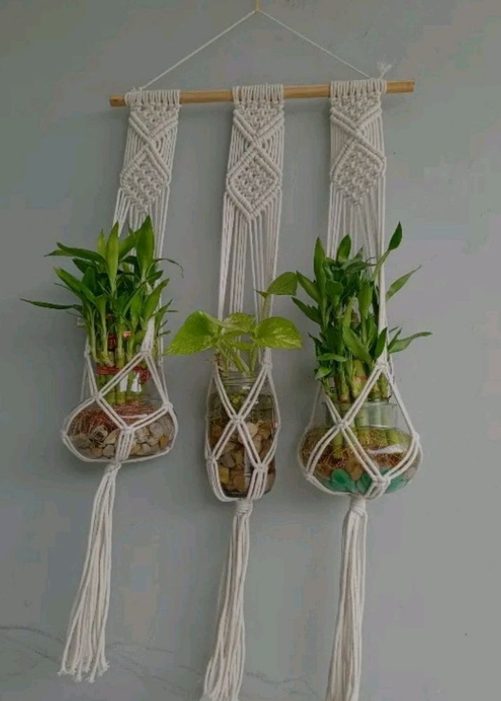 3 In 1 Plant Stand