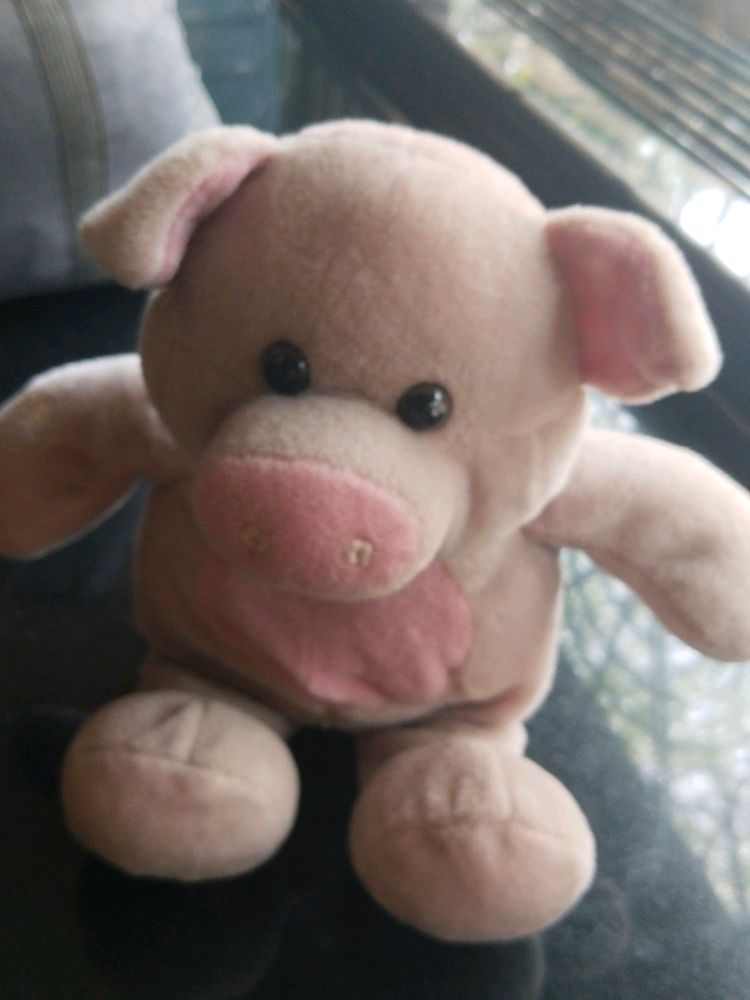 Pink Teddy